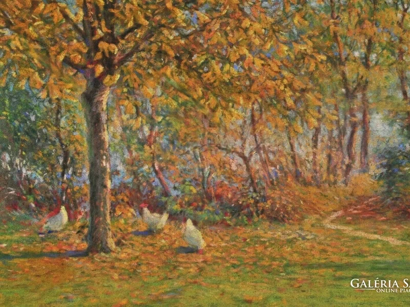 1895-Emil Stepanek